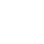 Experienced and Professional Team