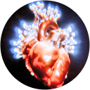 Waris Sadiora profile picture