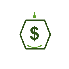 Affordable Pricing